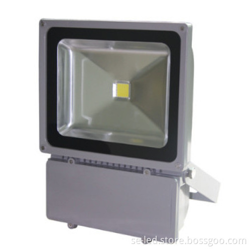 100W Pure White Bridgelux 5 years warranty led flood light bulbs